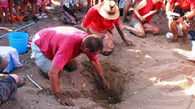 A turtle nest being excavated at Alagadi beach, North Cyprus