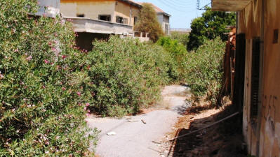 An overgrown street abandoned since 1974 at Varosha, Famagusta, North Cyprus