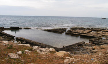 Lambousa fish ponds