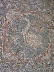 A swan mosaic at Soli, near Lefke, North Cyprus
