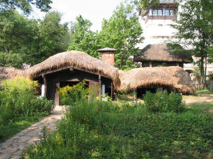 A partially underground house